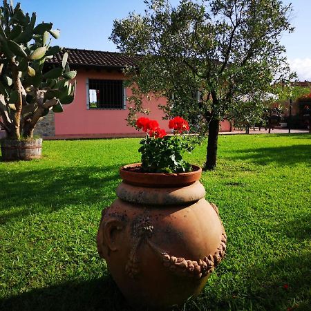 Villa Caise Castelnuovo Magra Exterior foto