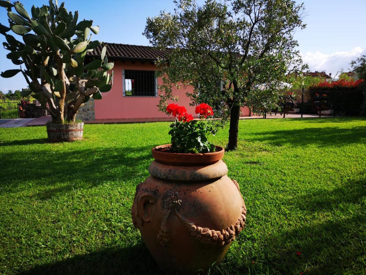 Villa Caise Castelnuovo Magra Exterior foto